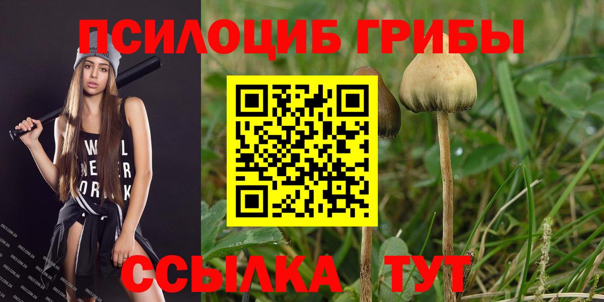 Псилоцибиновые грибы MAGIC MUSHROOMS Лабытнанги